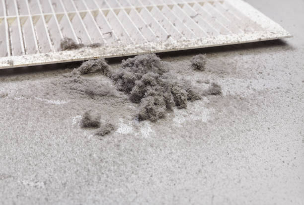 Best Emergency Air Duct Cleaning  in Meridian, CO