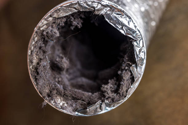 Best HVAC Maintenance and Cleaning  in Meridian, CO