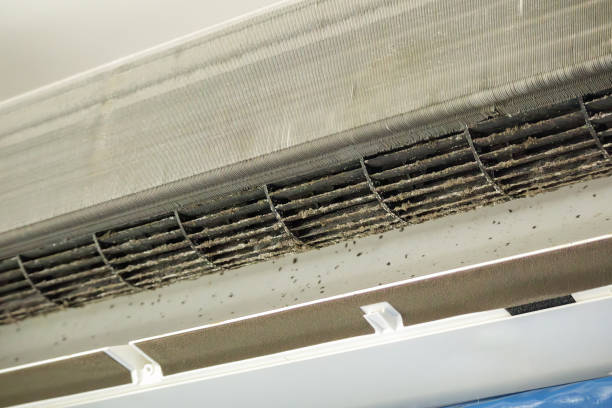 Best Residential Air Duct Cleaning  in Meridian, CO